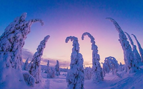 Mùa đông Phần Lan ảnh Visitfinland Fi