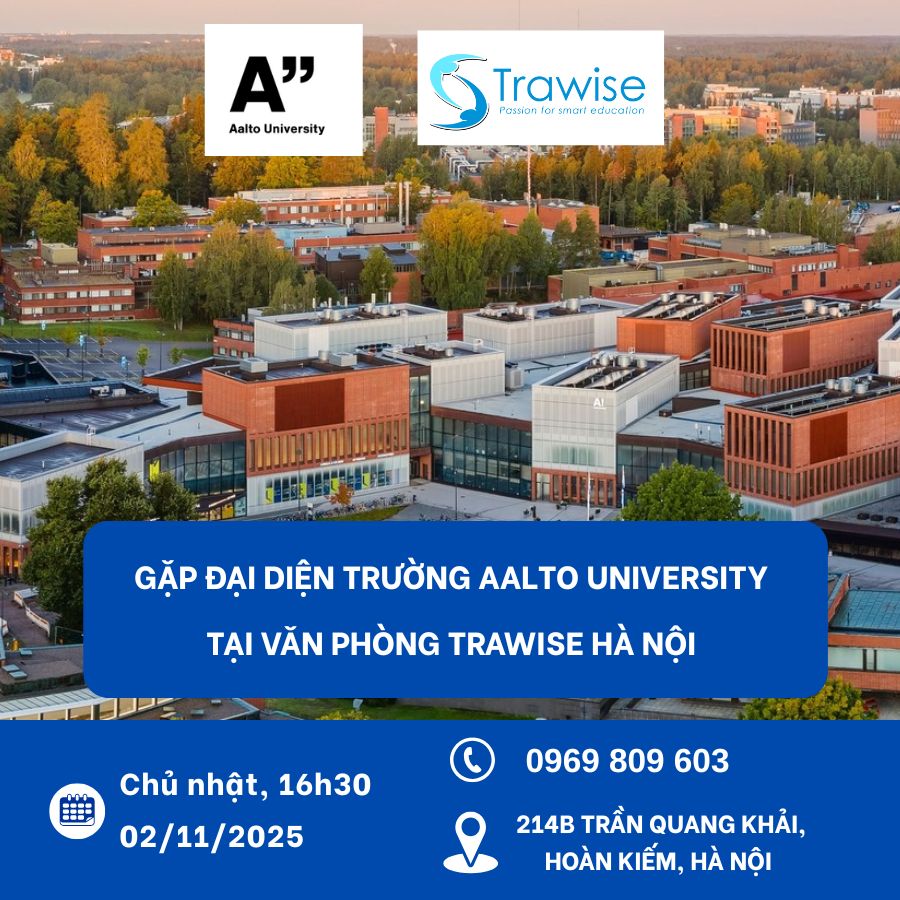 Đại Diện Aalto (1)