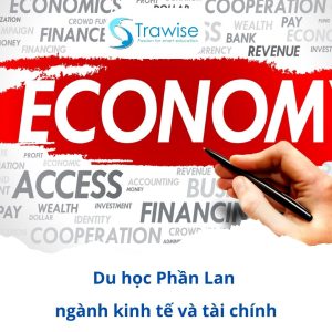 Du Học Phần Lan Ngành (11)