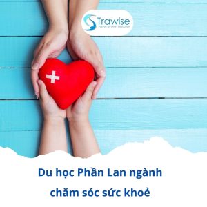 Du Học Phần Lan Ngành (9)